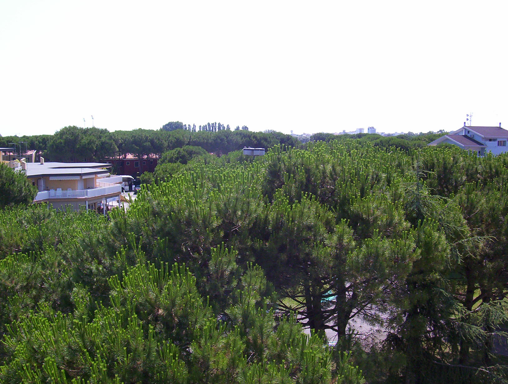 Snímek 076.jpg